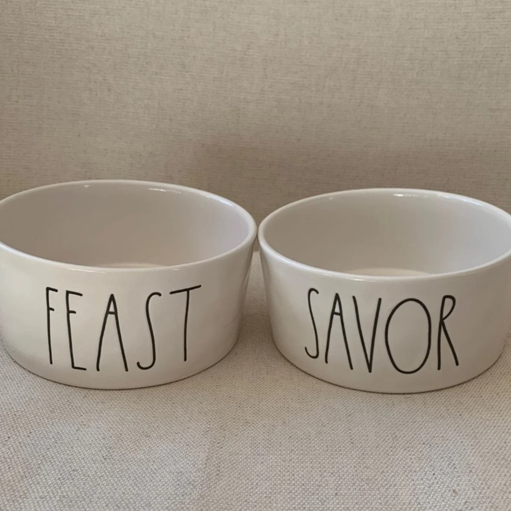 Set of 2 Rae Dunn Pet Bowls